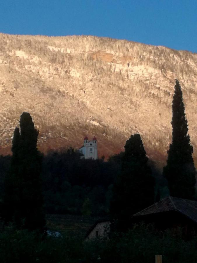 Ansitz Jenner Leilighet Appiano Sulla Strada Del Vino Eksteriør bilde