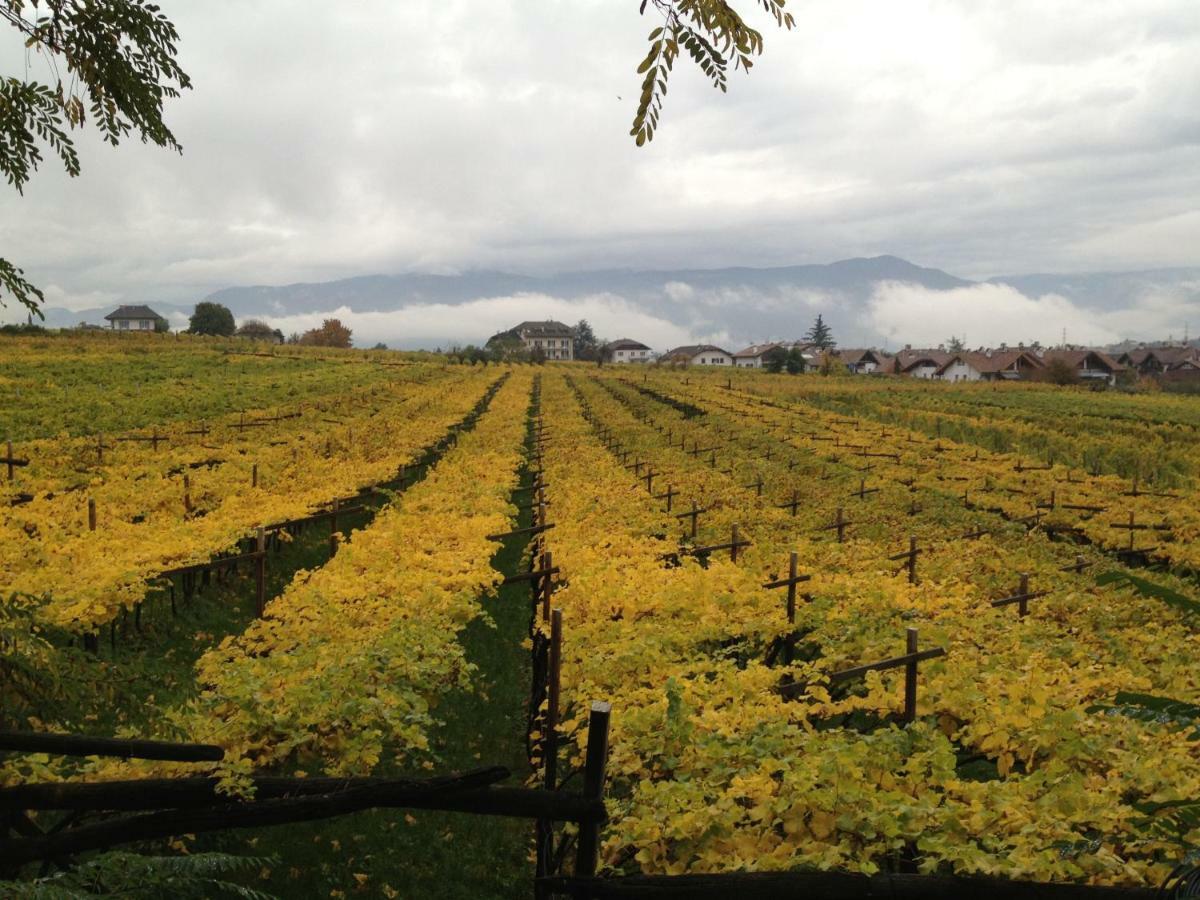 Ansitz Jenner Leilighet Appiano Sulla Strada Del Vino Eksteriør bilde
